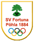 Poehla logo